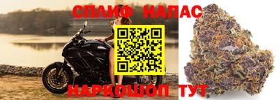 ПСИЛОЦИБИНОВЫЕ ГРИБЫ Мариинск