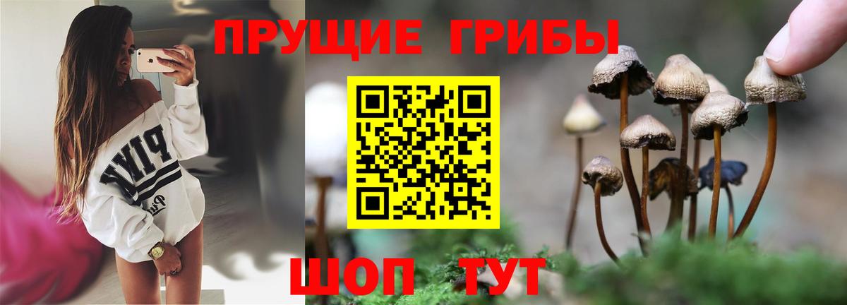 Верхняя Пышма  Галлюциногенные грибы Magic Shrooms  где можно купить наркотик  Вход с VPN 