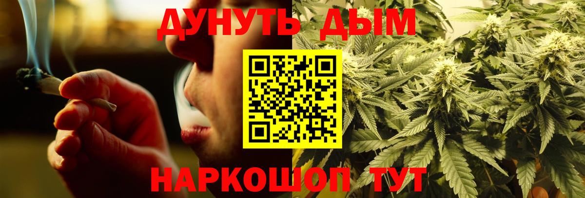 Марихуана план Верхняя Пышма
